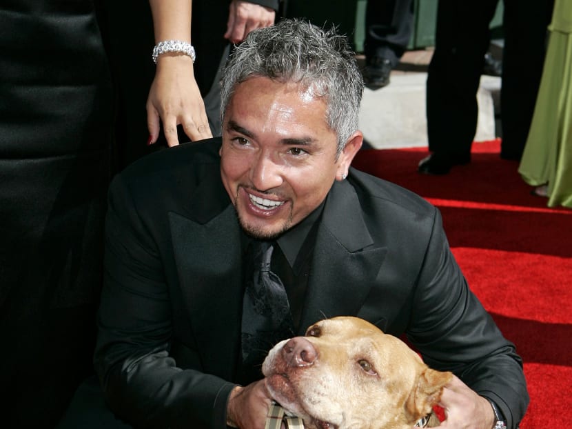 In an Aug 19, 2006 file photo, Cesar Milan arrives for the Creative Arts Emmy Awards in Los Angeles. Photo: AP