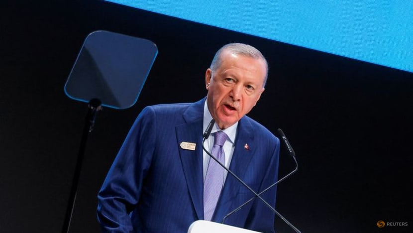 Erdogan says Turkey could take joint steps with Elon Musk on tech, TRT Haber reports