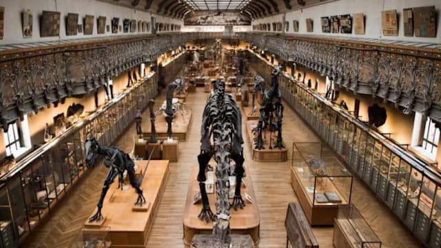 六块金块价值逾200万元 中国女子涉盗巴黎博物馆被控