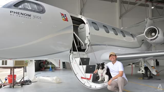 是奢侈还是必要？ 宠物主人花数万元搭乘我国首家动物航空公司班机