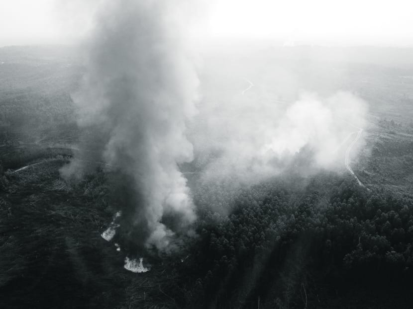 An aerial view of burning trees during the haze in Indonesia’s Riau province last month. As a follow up to the MSC, the environment ministers must work together to provide authoritative maps to clear up the question of responsibility. Photo: Reuters