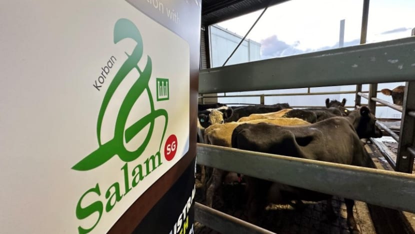 Lebih 50% kambing korban sudah ditempah Lebih 50% kambing korban sudah ditempah