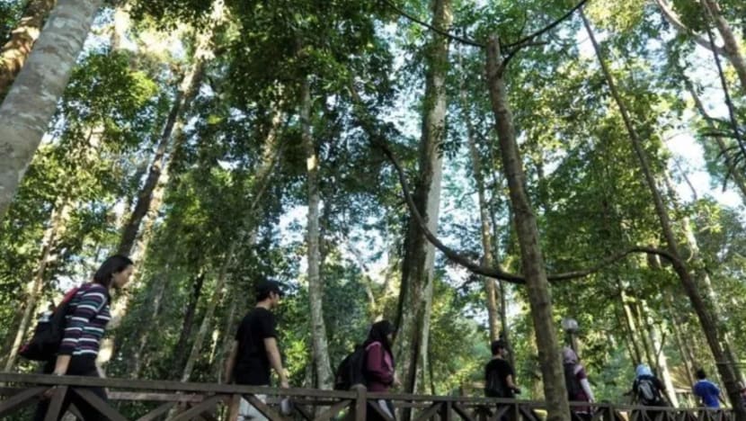 Taman Bukit Tawau jadi tumpuan selepas aktiviti rekreasi dibenarkan di Sabah Taman Bukit Tawau jadi tumpuan selepas aktiviti rekreasi dibenarkan di Sabah