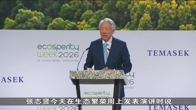 张志贤：亚洲如何应对能源和数码转型 将影响全球发展成果