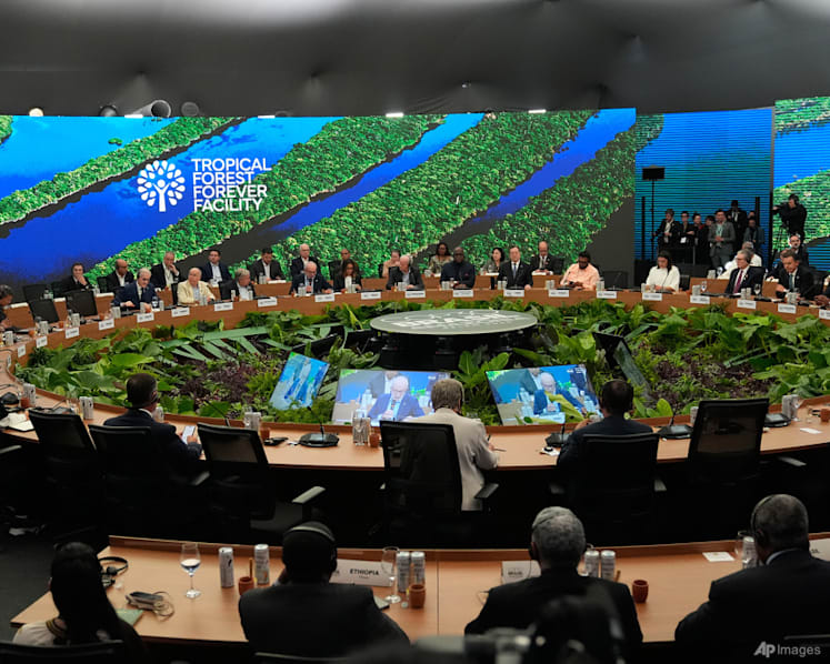 Commentary: The real failure on climate didn’t happen in Brazil