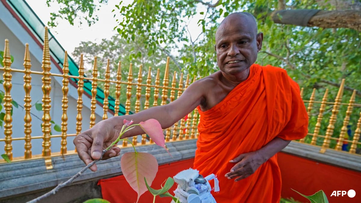 Sri Lanka's top monk suspended over alleged child sex abuse
