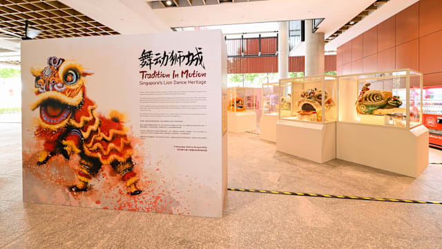 20251211 ls liondance