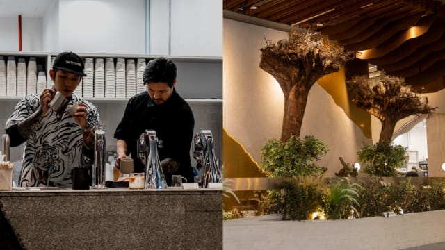 人气咖啡座Equate乌节新分店　两棵树被连根拔起倒着种！