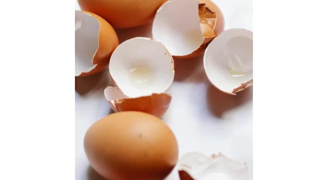 卖鸡蛋壳月入278元 印尼男子靠厨余养活一家