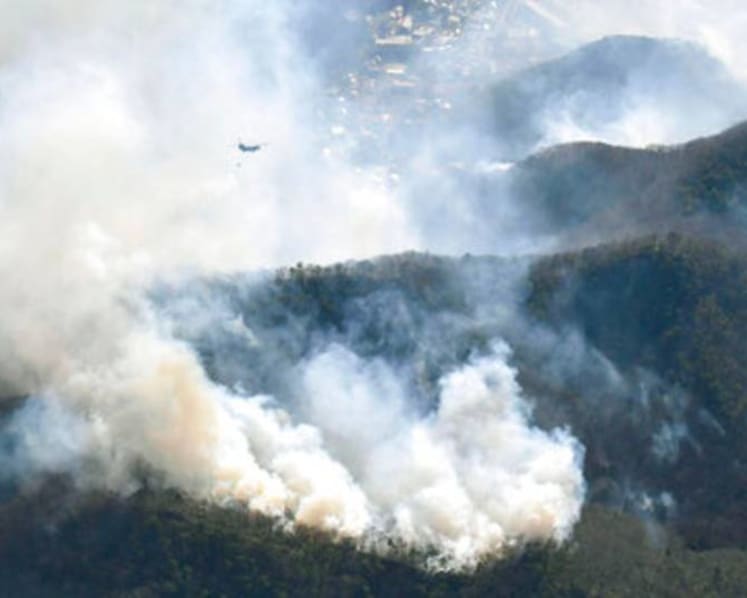Helicopters, firefighters battle forest fires in Japan