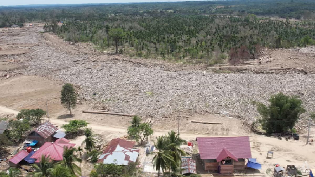 Indonesia’s ‘dead river’ a stark warning after Sumatra flood disaster