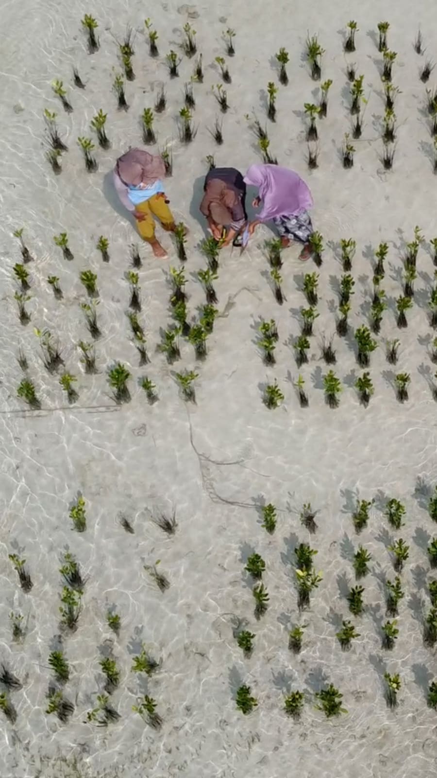 ‘This is our home’: The women fighting a company’s land claim on Indonesia’s Pari Island