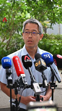 'Supermajority' of WP cadres voted to retain Pritam Singh as secretary-general: Gerald Giam