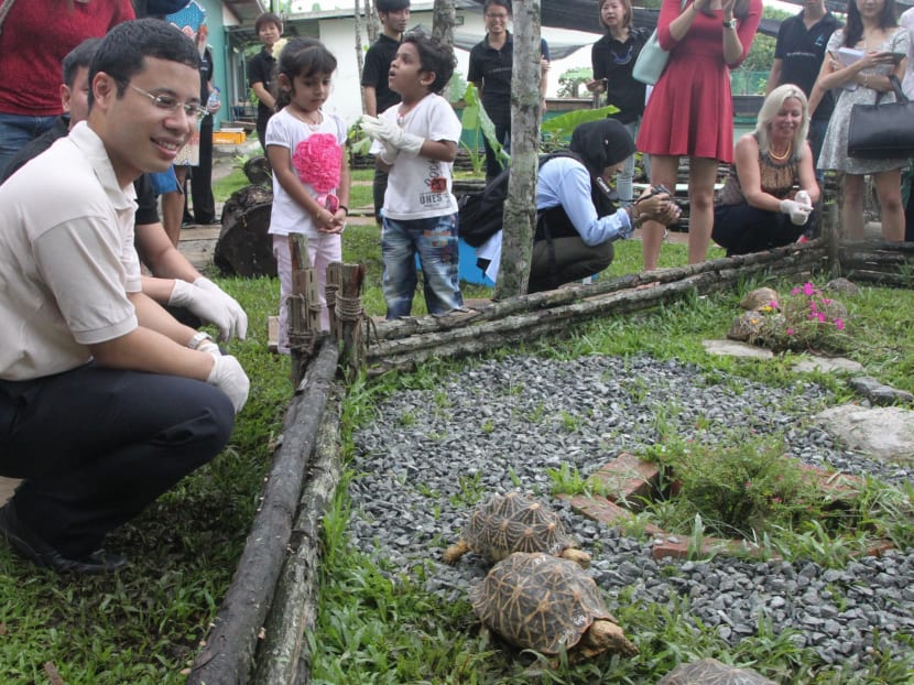 Wildlife sanctuary for rescued animals opens