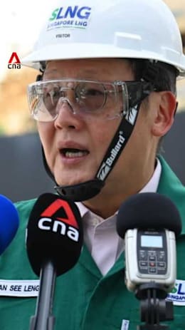 Minister Tan See Leng urges households, businesses in Singapore to conserve energy