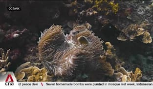 Researchers hope AI can help accelerate climate solutions 