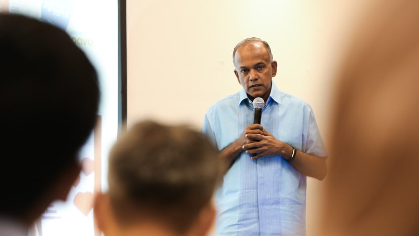 Changes to law to better help victims of partner violence seek protection: Shanmugam
