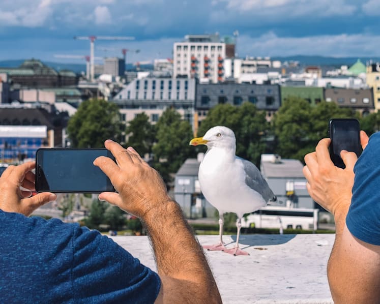 Why travellers cannot resist taking photos and sharing them on social media instantly