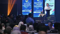 Related article image