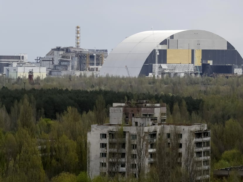 Chernobyl zone turns into testbed for Nature’s rebound