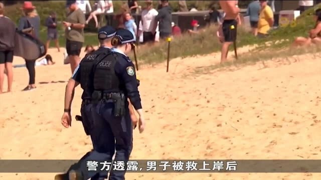 悉尼海滩发生鲨鱼袭击事件 一名男子丧命