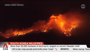 Death toll hits 27 as South Korea wildfires double in size