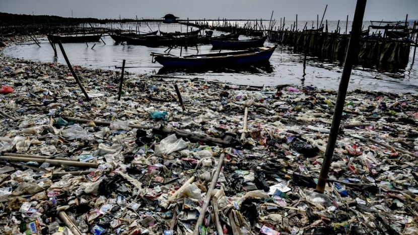 Less plastic flowing into ocean than thought, but more found floating in waters: Study