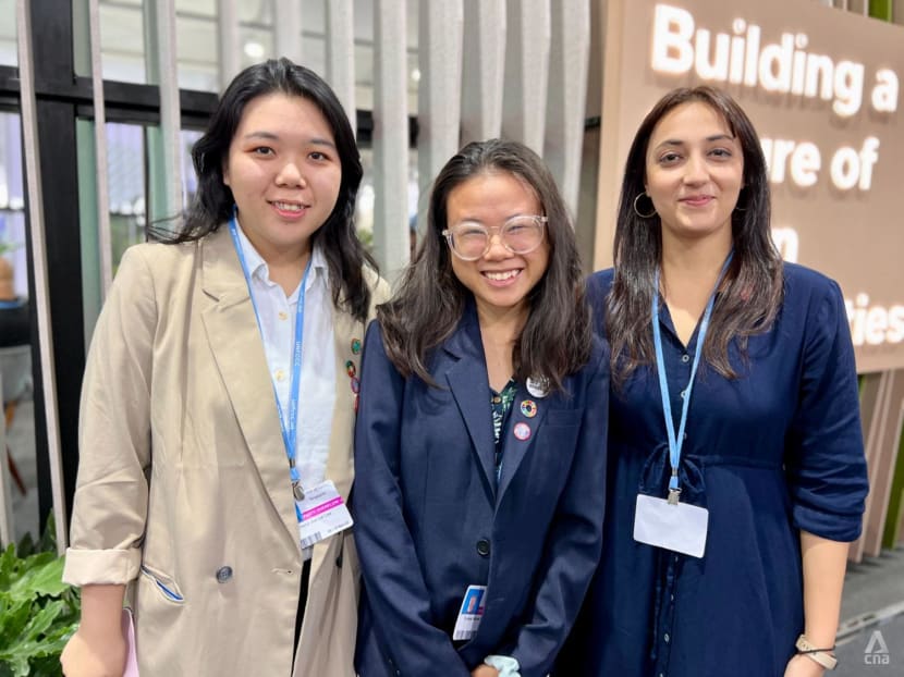 Solidarity and influence: How Singaporean youth at COP27 hope to shape climate action