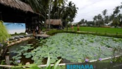 Related article image