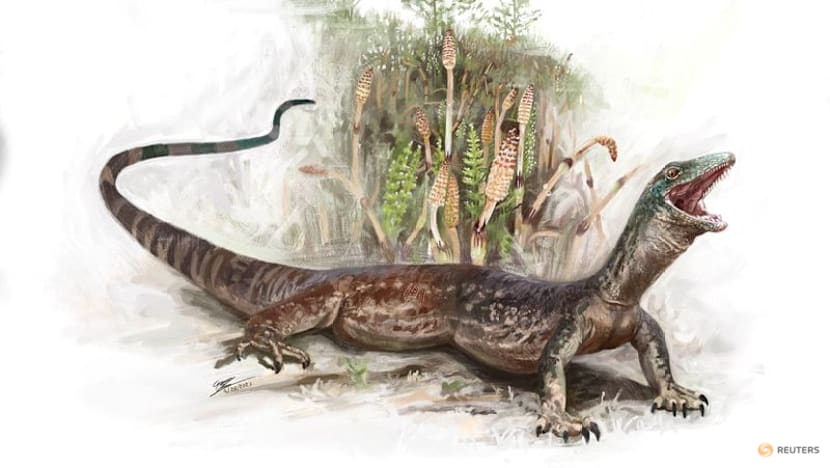Enigmatic Jurassic reptile looks like a mix of snake and lizard