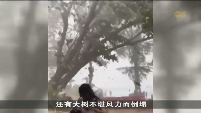热带风暴韦帕今早登陆越南