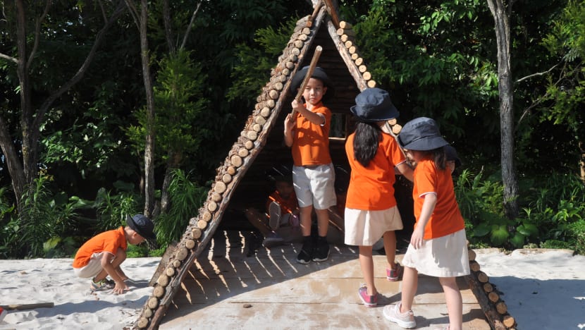 NParks opens nature playground at HortPark as testbed for future ‘biophilic’ sites