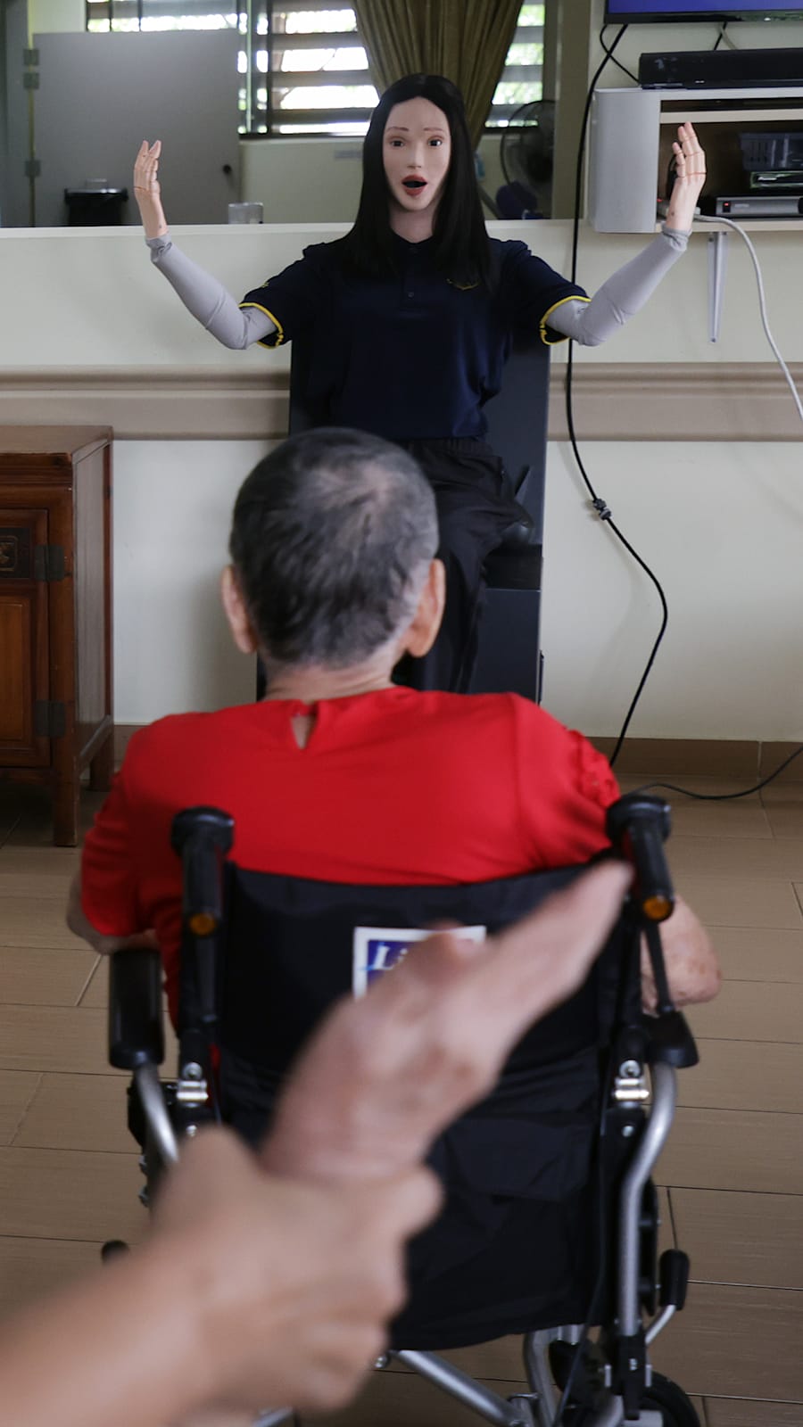 How Singapore's eldercare industry is gearing up for the silver tsunami with robots and smart gadgets