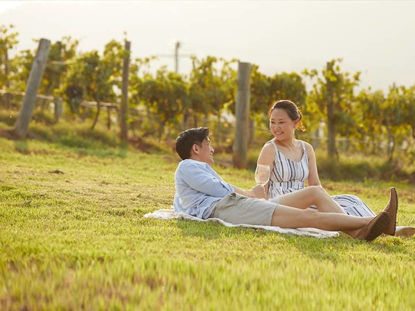  Your future road trip from Sydney: Exploring 6 famous wine regions in New South Wales