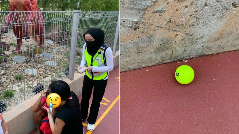 Safety measures proposed for newly opened Jurassic Mile after maid hit on head by stray golf ball