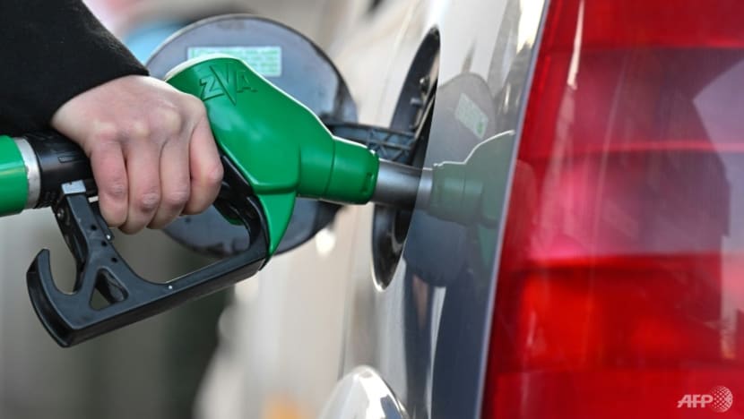 Biden says 30 countries joining US release of oil reserves