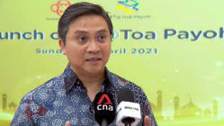 Related article image