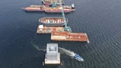 Related article image