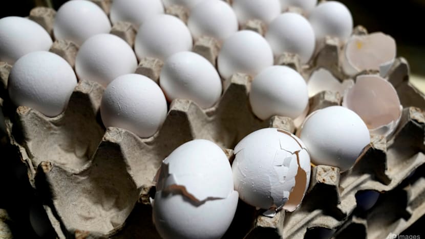 Egg-free school meals scramble politics in India