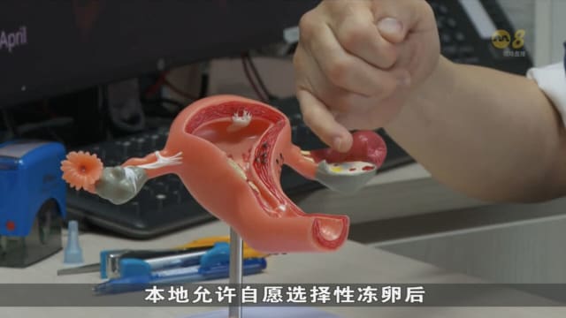 受访医生：有更多30岁以下女性准备冻卵