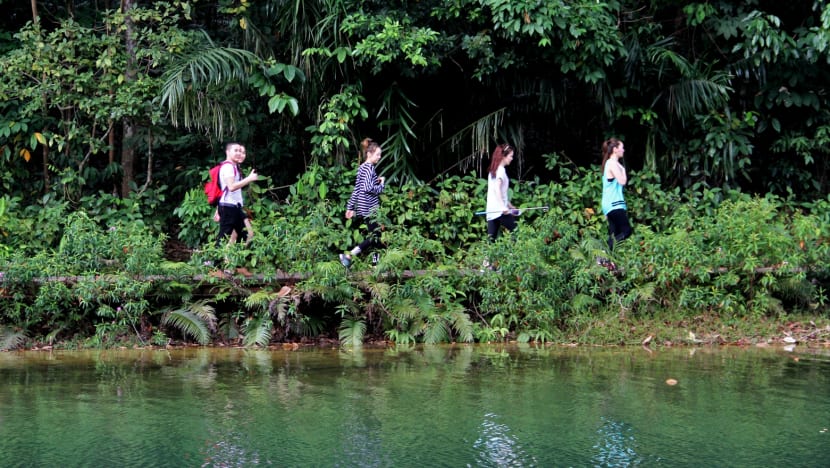 NParks, PUB teaming up to warn against releasing pets into the wild