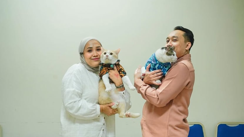 Detik-detik Bobby Kertanegara kena tampar kucing Pororo, netizen ikut deg-degan