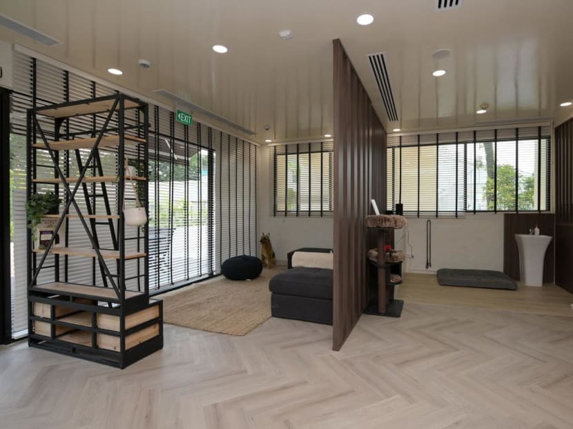 Singapore opens first dedicated facility for animal behavioural rehabilitation