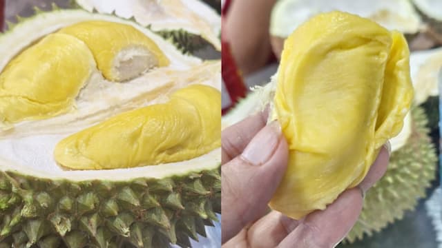 带年长者去吃榴梿，好处不少！