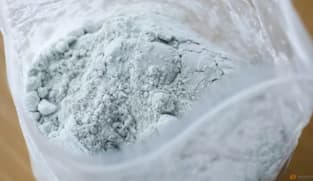Chinese exec gets 25 years' jail in US for trafficking fentanyl ingredients