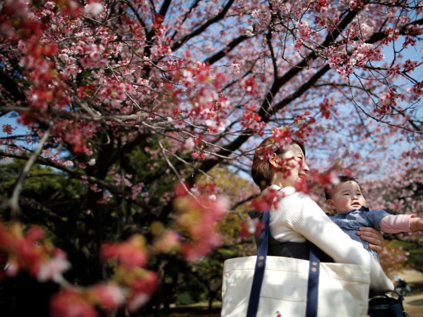 A seven-month-old baby and her mother look at early flowering Kanzakura cherry blossoms in full bloom at the Shinjuku Gyoen National Garden in Tokyo, Japan, March 14, 2018. A seven-month-old baby and her mother look at early flowering Kanzakura cherry blossoms in full bloom at the Shinjuku Gyoen National Garden in Tokyo, Japan, March 14, 2018.