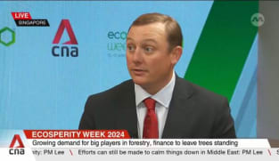 Technology plays a big part in the nature-based solutions market, providing provide auditable systems for buyers: CEO