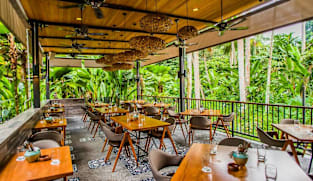 Singapore Botanic Gardens restaurant The Halia to close after 25 years