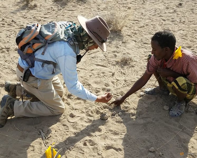 Scientists solve the mystery of the prehistoric 'Burtele Foot'