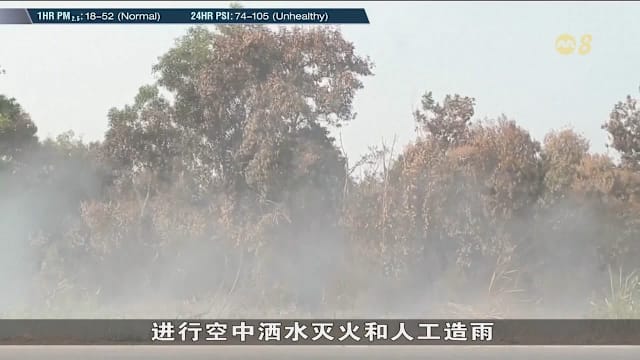 印尼林火烟霾蔓延 日本马国准备驰援灭火